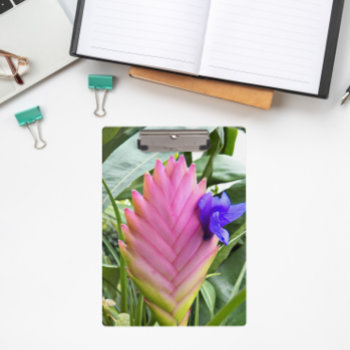 Pink Tropical Quill Plant Floral Clipboard by northwestphotos at Zazzle