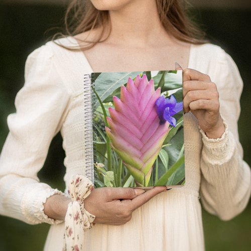 Pink Tropical Quill Plant Floral Notebook