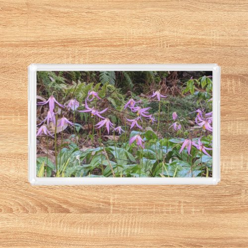 Pink Trout Lilies Floral Acrylic Tray