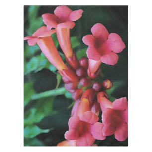 Pink Trumpet Honeysuckle Botanical Art Tablecloth