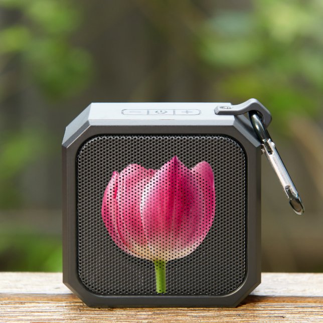 Pink Tulip Art Speaker (Insitu(Outdoor))