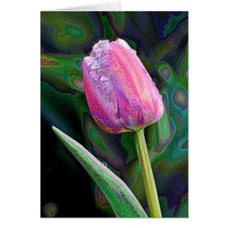 Pink Tulip Enhanced Cards