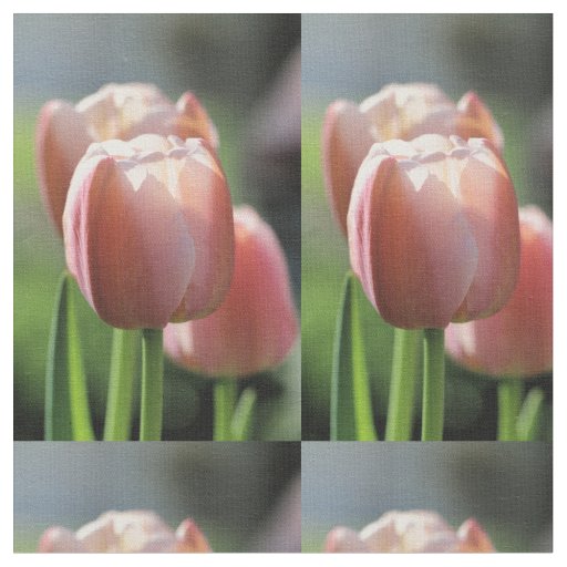 Pink tulip fabric