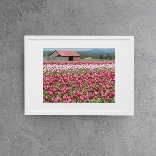 Pink Tulip Fields Floral Poster