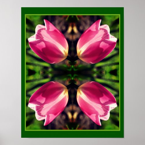 Pink Tulip Flower In Sunlight Abstract Poster
