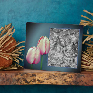 Pink Tulip Flowers Add Your Own Photo Plaque