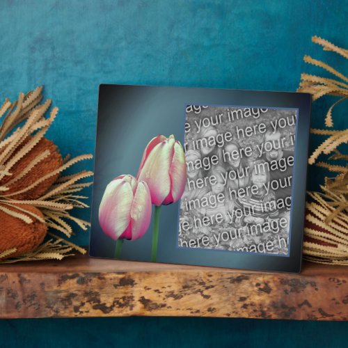 Pink Tulip Flowers Add Your Own Photo Plaque
