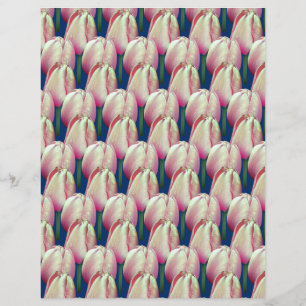 Pink Tulip Flowers Scrapbook Paper