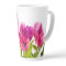 Pink Tulip Flowers Spring Season 