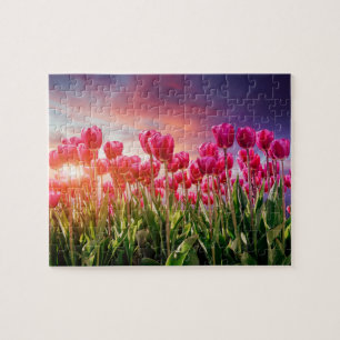 Pink Tulip Flowers Sunset Nature Netherlands Jigsaw Puzzle