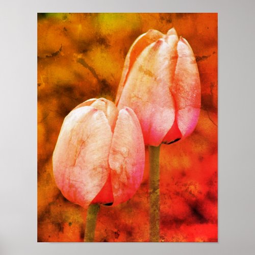 Pink Tulip Flowers With Raindrops Abstract Grunge Poster