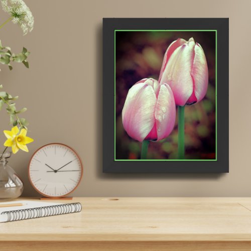 Pink Tulip Flowers With Raindrops Framed Framed Art