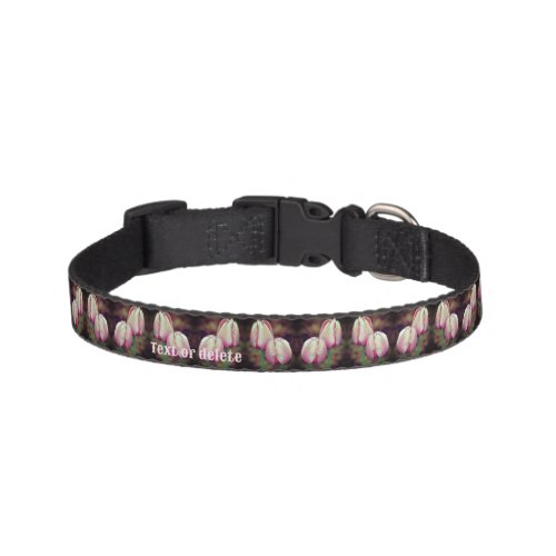 Pink Tulip Flowers With Raindrops Personalized Pet Collar