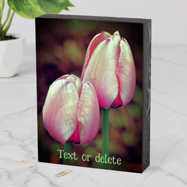 Pink Tulip Flowers With Raindrops Personalized Wooden Box Sign (In Situ Vertical)