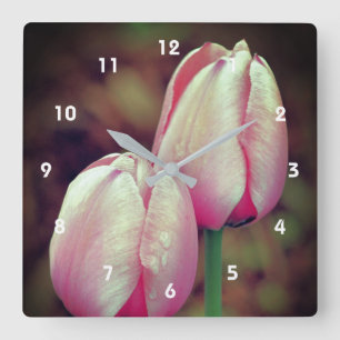 Pink Tulip Flowers With Raindrops Square Wall Clock