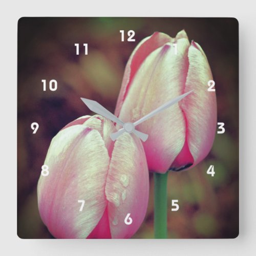 Pink Tulip Flowers With Raindrops   Square Wall Clock
