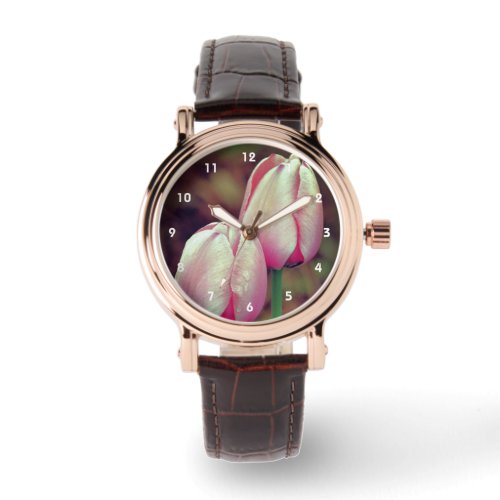 Pink Tulip Flowers With Raindrops    Watch