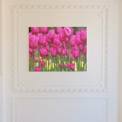 Pink Tulip Garden Floral Canvas Print