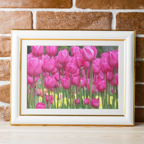 Pink Tulip Garden Floral Poster