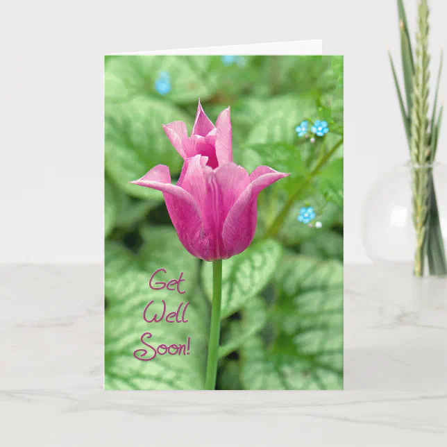 Pink Tulip Get Well Soon Card | Zazzle