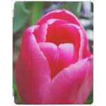Pink Tulip iPad Smart Cover