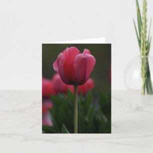 Pink Tulip Letterpress Thank You Card