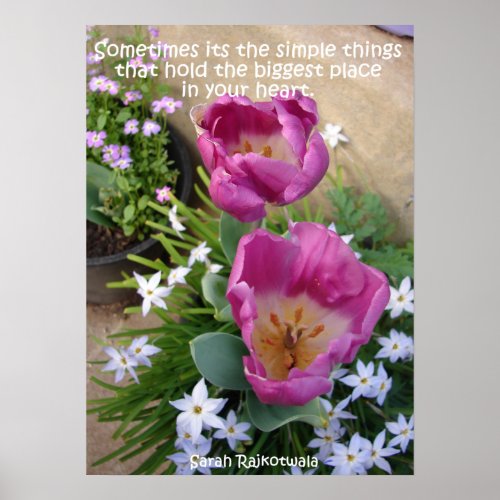 Pink Tulip Little Things Spring Garden Poster
