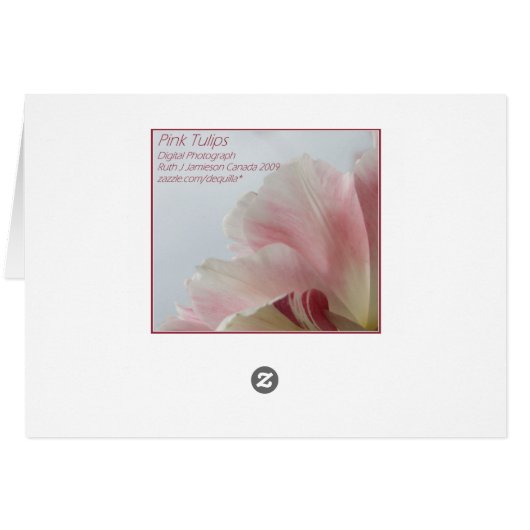 PINK TULIP ~ My Love (Back Horizontal)