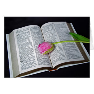 Pink Tulip On Bible Sympathy Cards