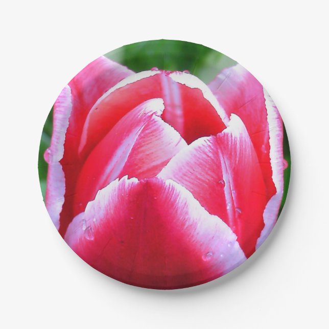 Pink Tulip Paper Plates (Front)