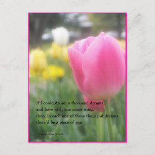 Pink Tulip Poem Postcard A Thousand Dreams