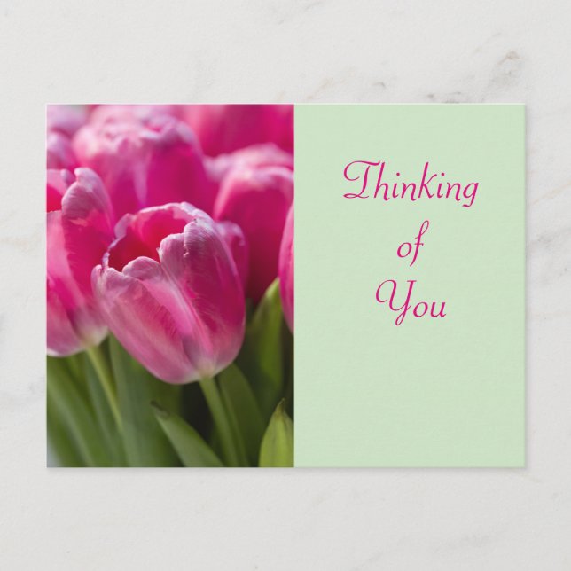 Pink Tulip Portrait Thinking of You Postcard (Front)