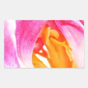 pink tulip rectangular sticker
