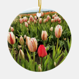Pink Tulip Standing Out Ceramic Ornament