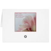PINK TULIP ~ Sweetheart Cards (Back Horizontal)