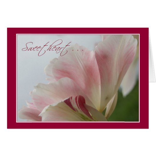 PINK TULIP ~ Sweetheart Cards (Front Horizontal)