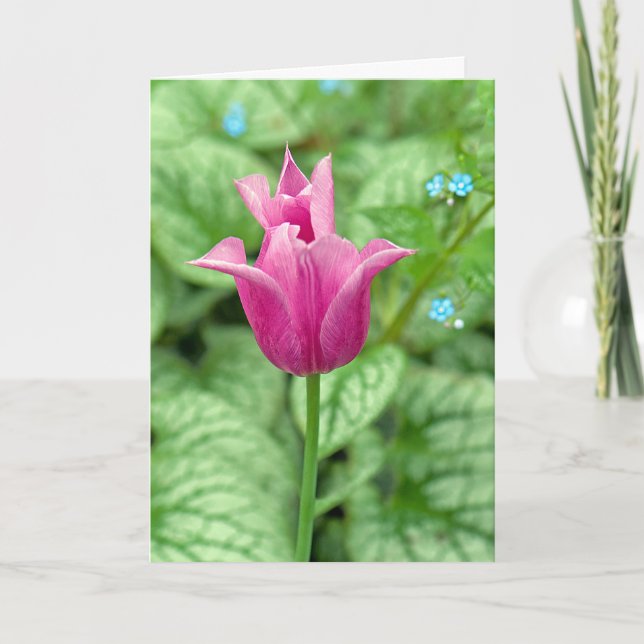 pink tulip thank you card (Front)