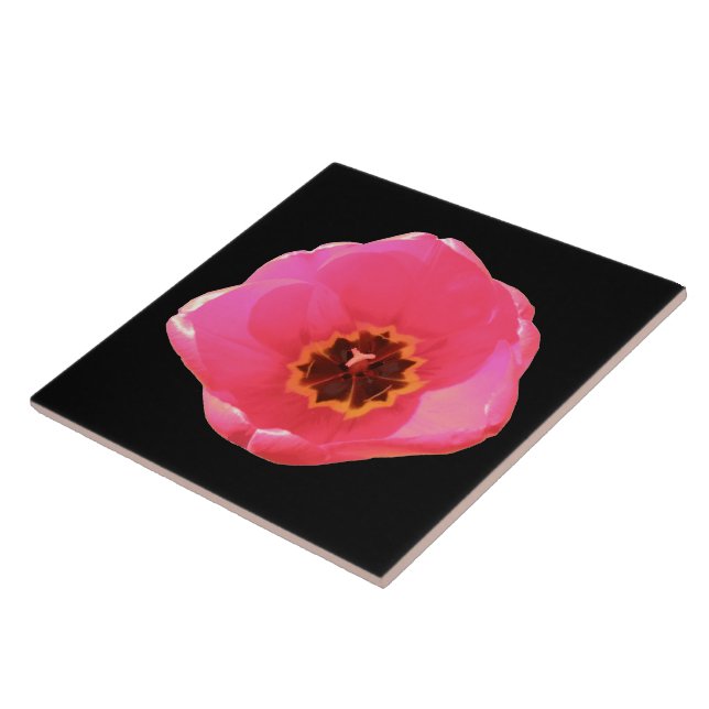 Pink Tulip Tile (Side)