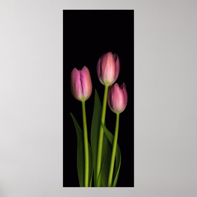 Pink Tulip Trio Print (Front)