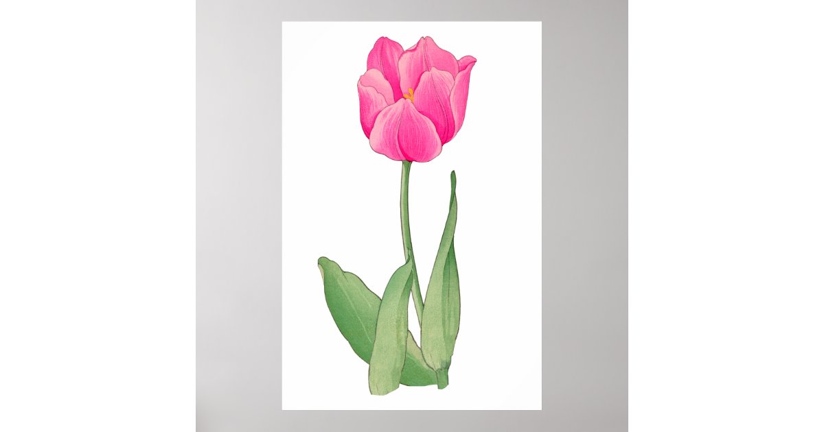 Pink tulip , vintage Japanese art Poster | Zazzle