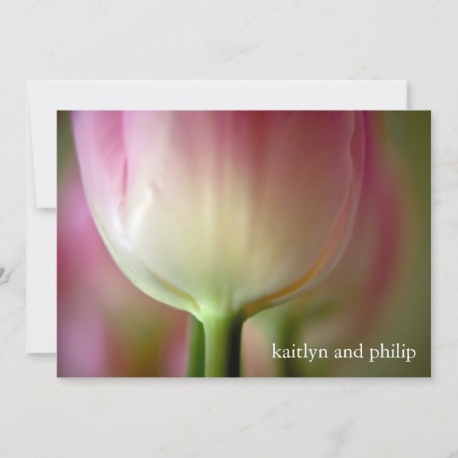 Pink Tulip • Wedding Invitation (Front)