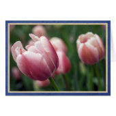 Pink tulips (Front Horizontal)