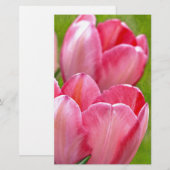 Pink Tulips (Front/Back)