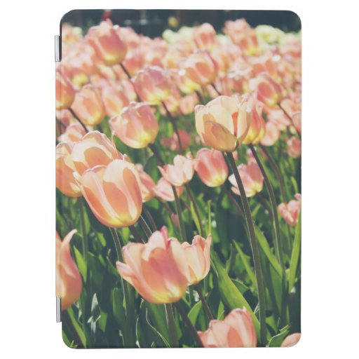 PINK TULIPS BLOOMS AT DAYTIME iPad AIR COVER