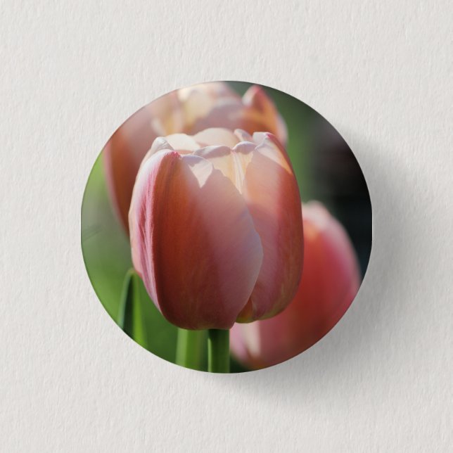 Pink tulips   button (Front)