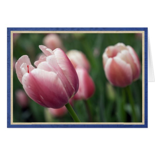 Pink tulips cards (Front Horizontal)