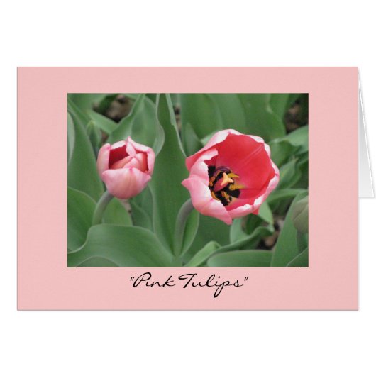 "Pink Tulips" Cards (Front Horizontal)