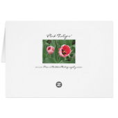 Pink Tulips Cards (Back Horizontal)