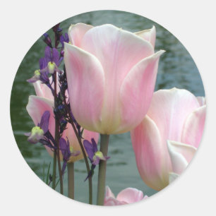 Pink Tulips Classic Round Sticker