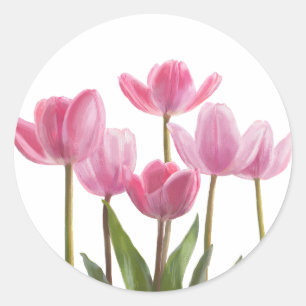 Pink Tulips Classic Round Sticker